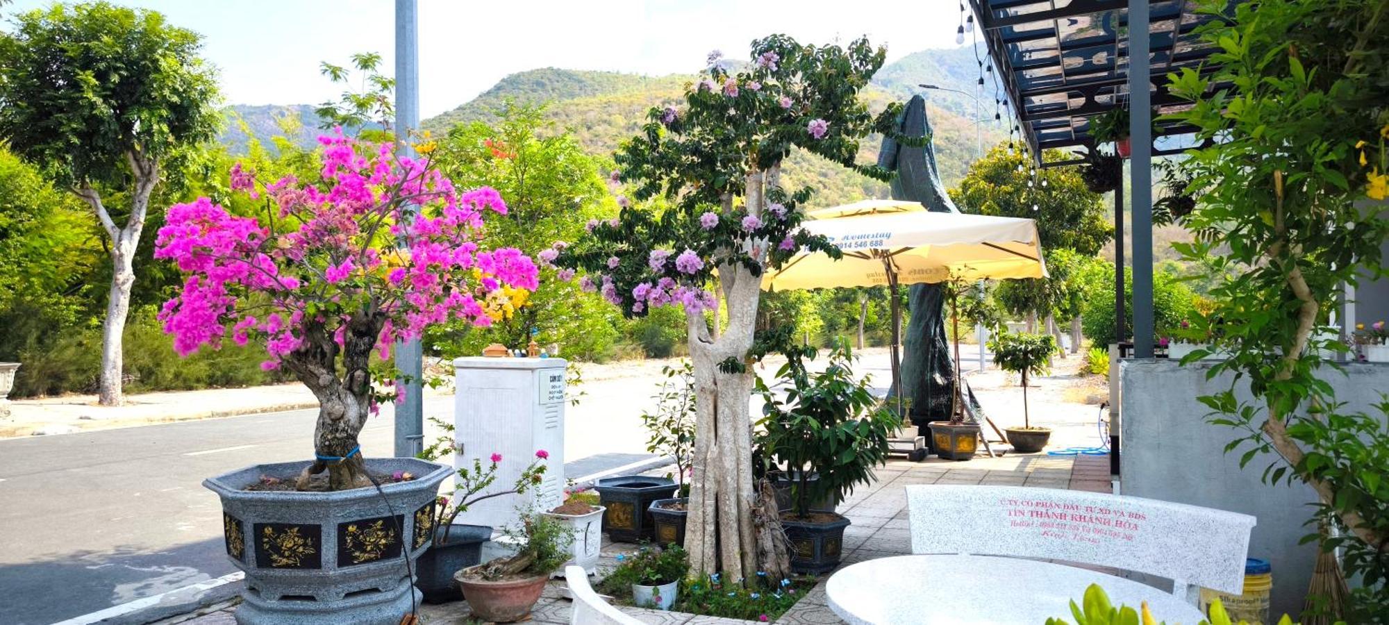 Cobi'S Home Cam Lam ภายนอก รูปภาพ