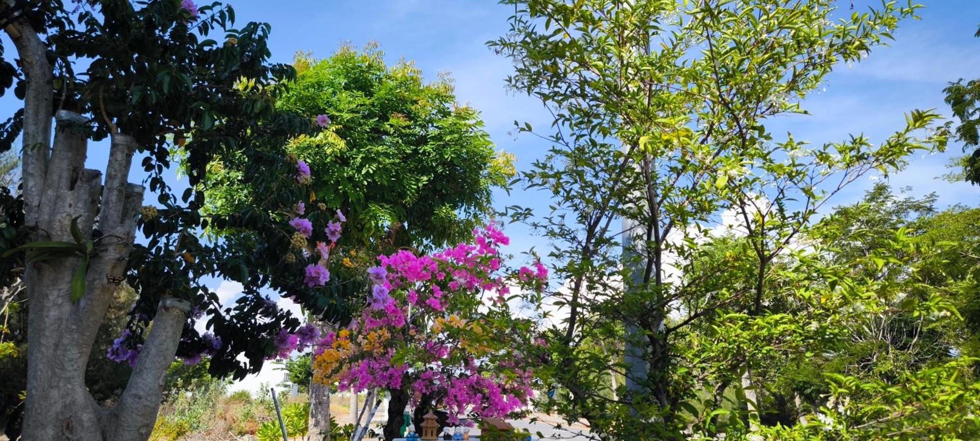 Cobi'S Home Cam Lam ภายนอก รูปภาพ